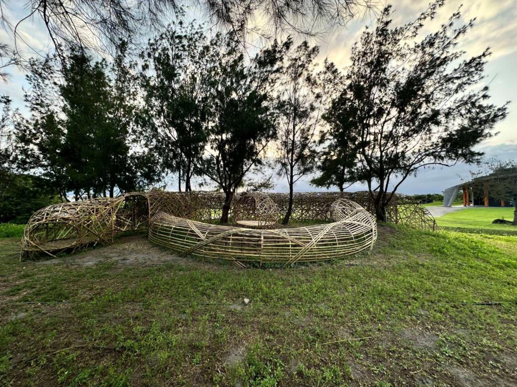 沙丘捉迷藏
