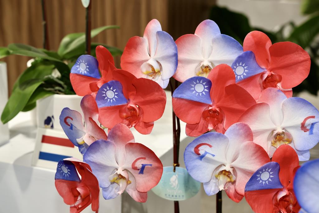 渲染蝴蝶蘭花瓣