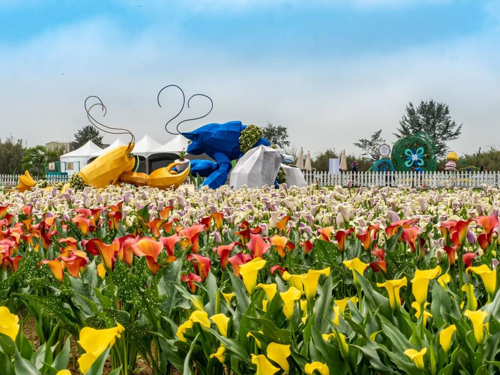 桃園彩色海芋季-只龍你心  年度：2021  來源：桃園市政府