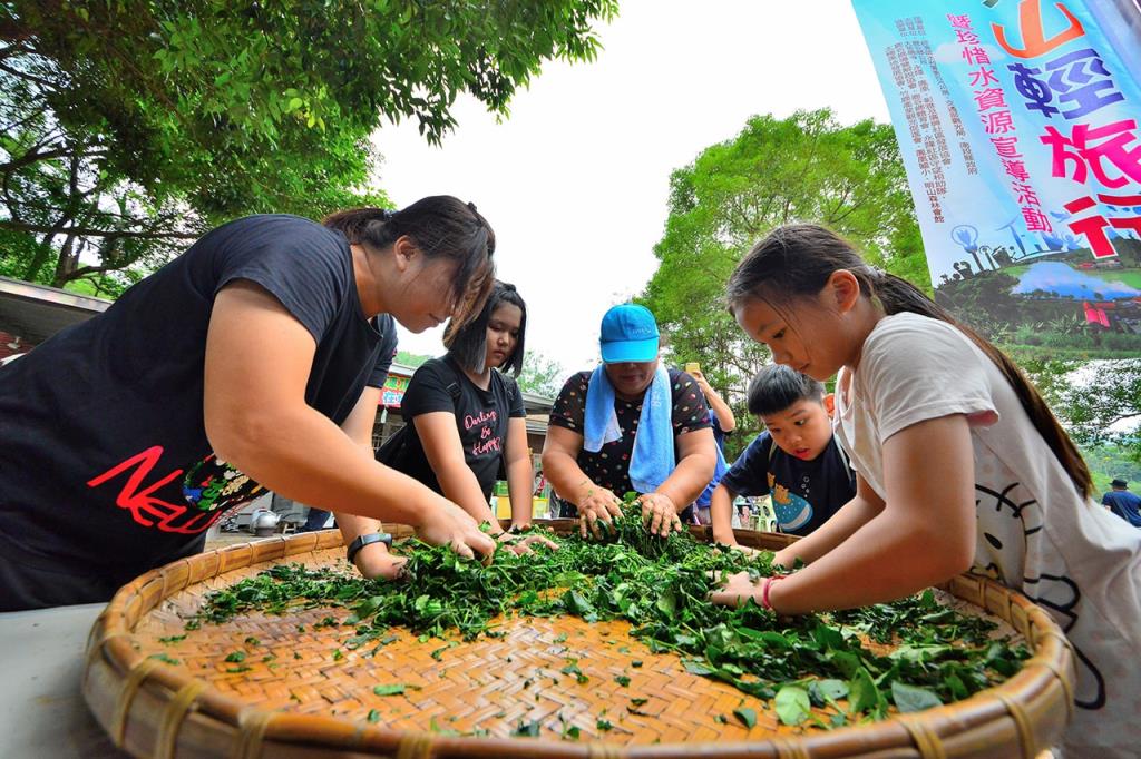 揉茶之美  年度：2019  來源：南投縣政府