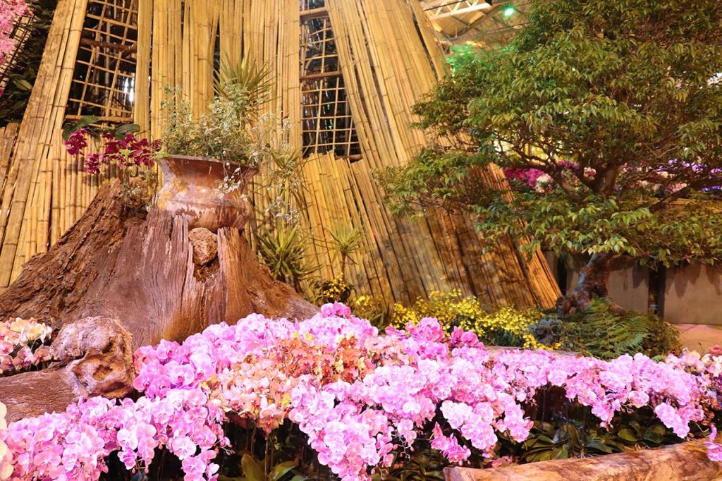 Exposición Internacional de Orquídeas de Taiwán  Período annual：2020  Origen de las fotografías：Gobierno de la ciudad de Tainan