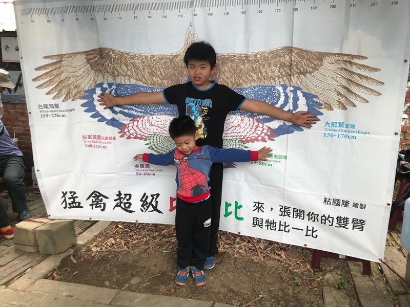 2023鷹揚八卦-八卦山賞鷹活動