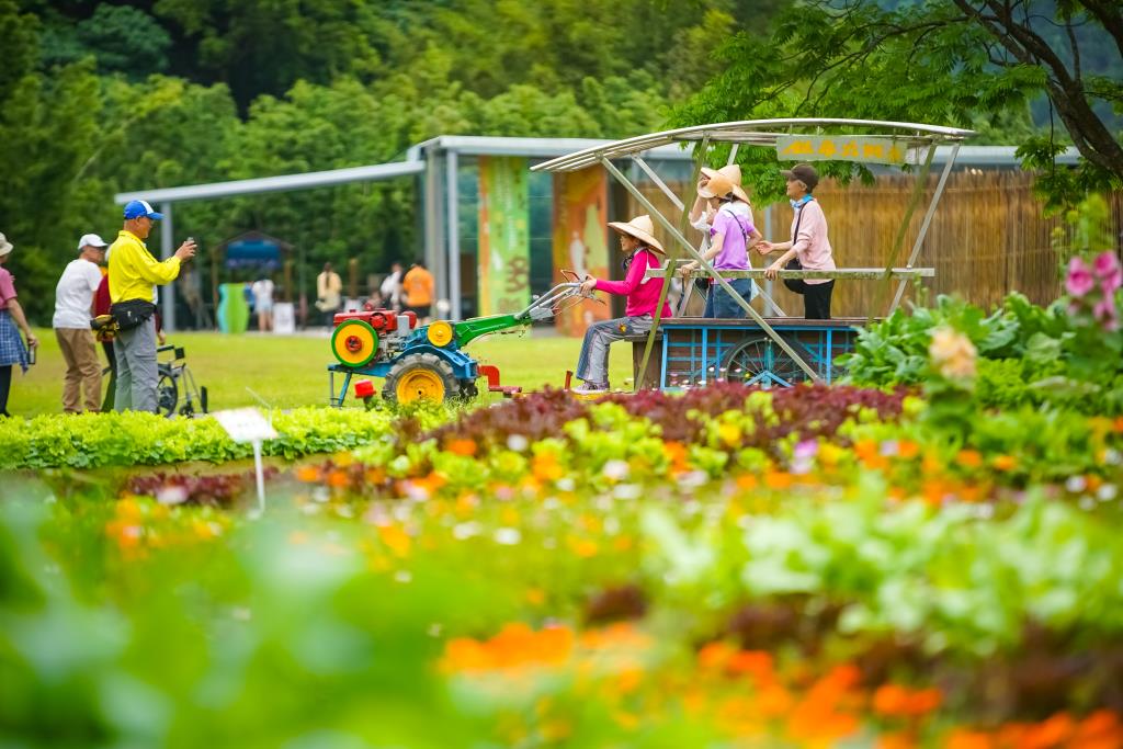 農業實驗學校展示氣候變遷調適等抗逆境作物