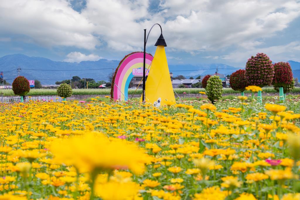 花毯節展區之花卉盛開美景