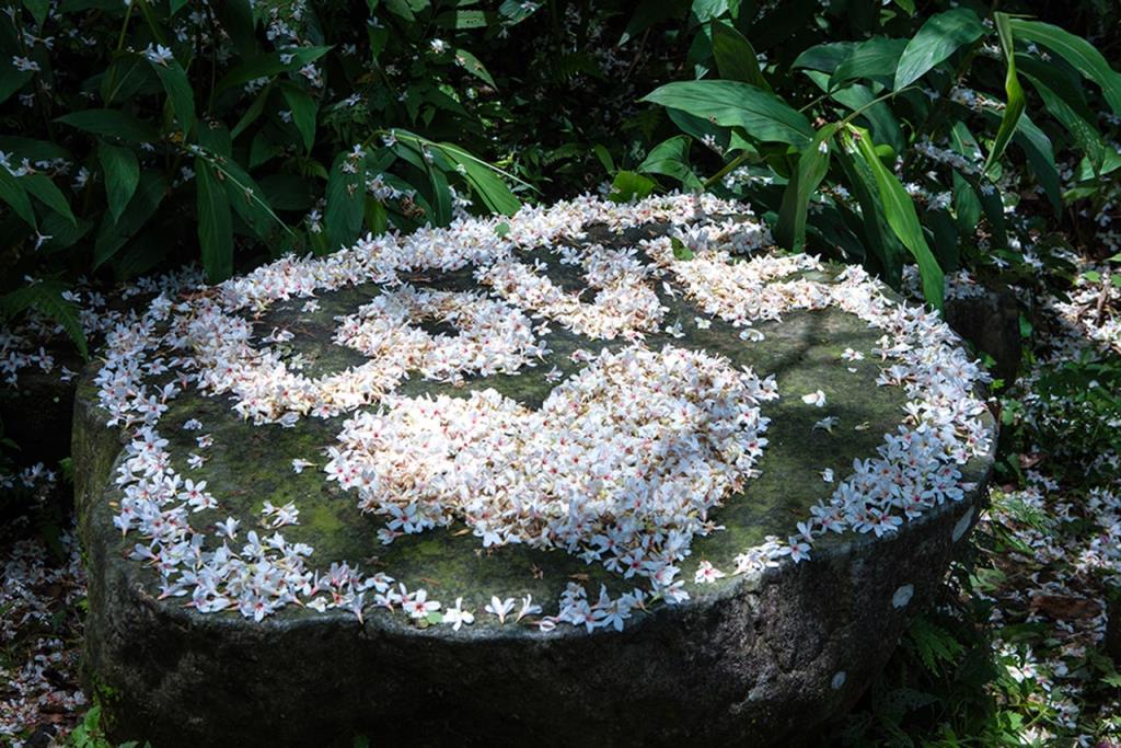 桐花步道上處處可見遊客浪漫的足跡  來源：新竹縣政府