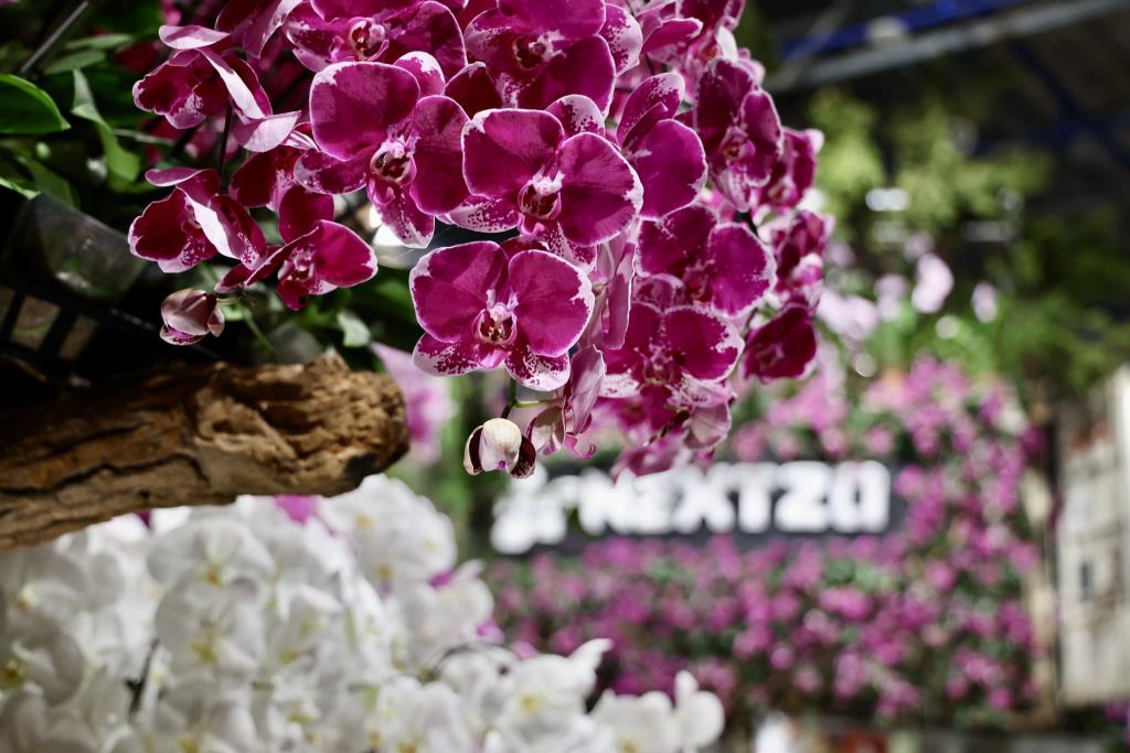 2025亞太蘭花會議暨臺灣國際蘭展