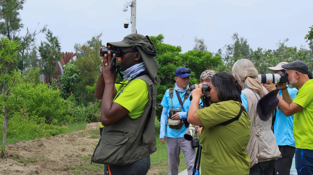 嘉義布袋濕地生態園區賞鳥