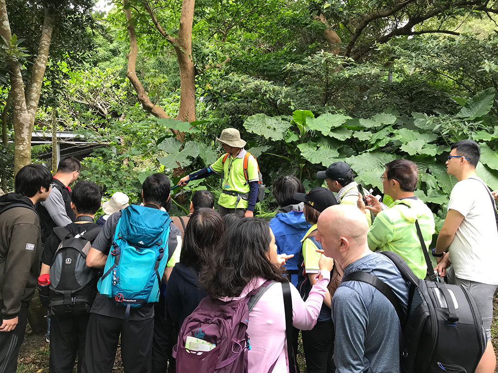 觀音山步道生態解說  年度：2019  來源：北海岸及觀音山國家風景區管理處
