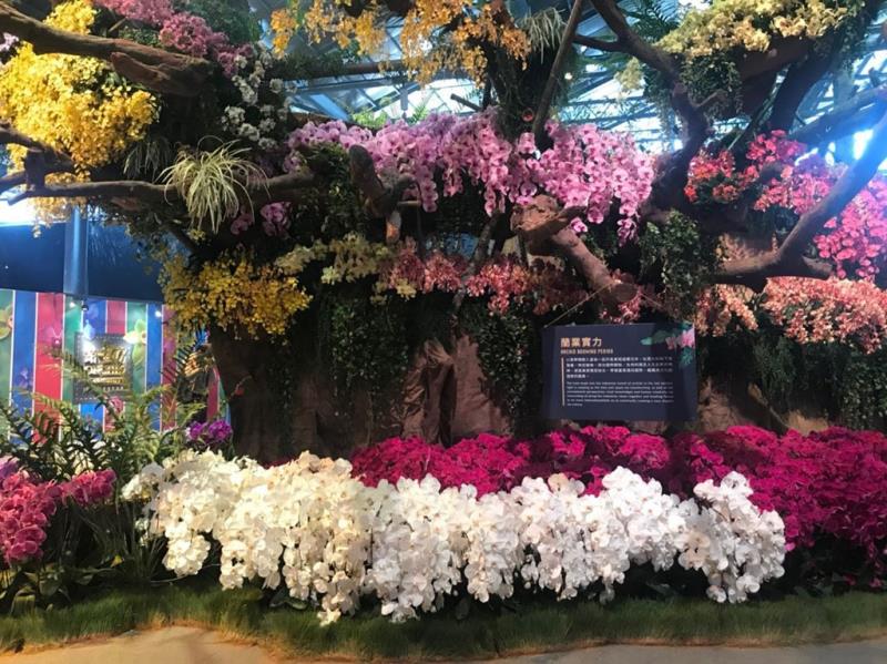 2023臺灣國際蘭展