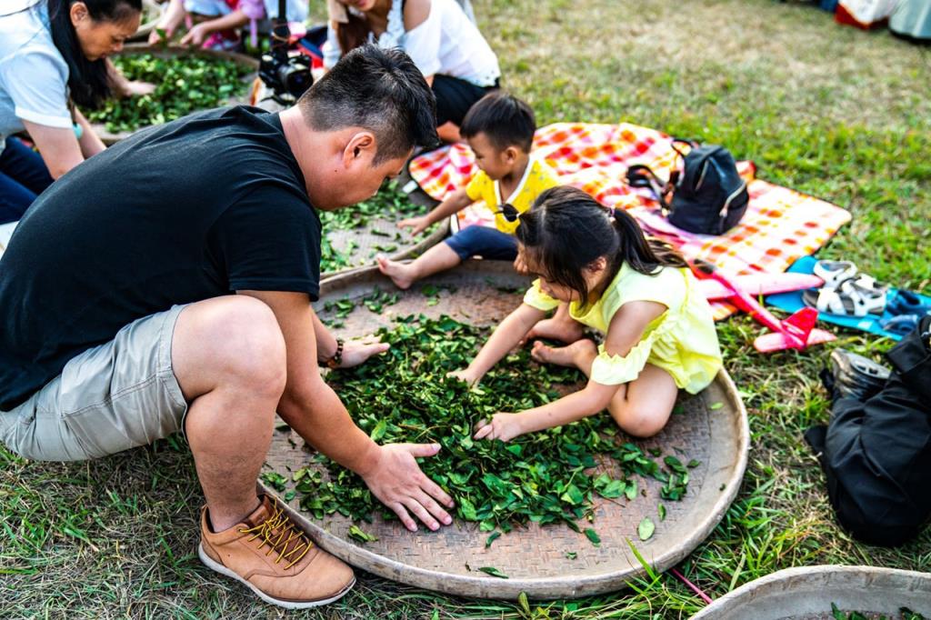 父女柔情(揉茶)  年度：2019  來源：南投縣政府
