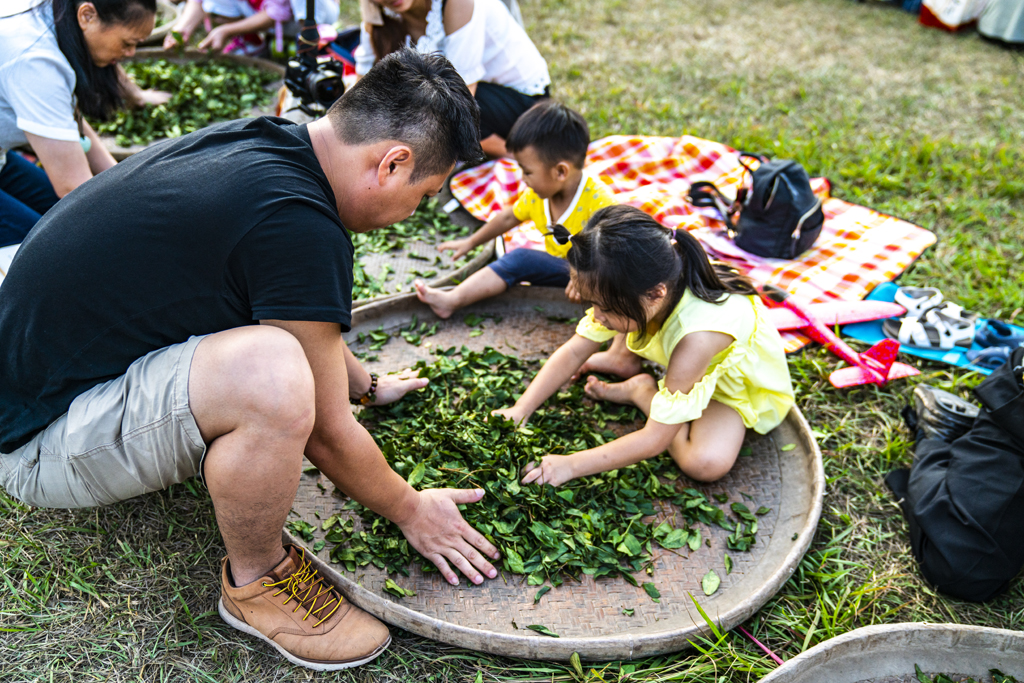 揉茶  年度：2019  來源：南投縣政府