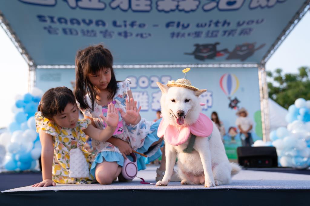 西拉雅森活節毛孩主題日，寵物走秀環節毛小孩與小主人同台吸睛