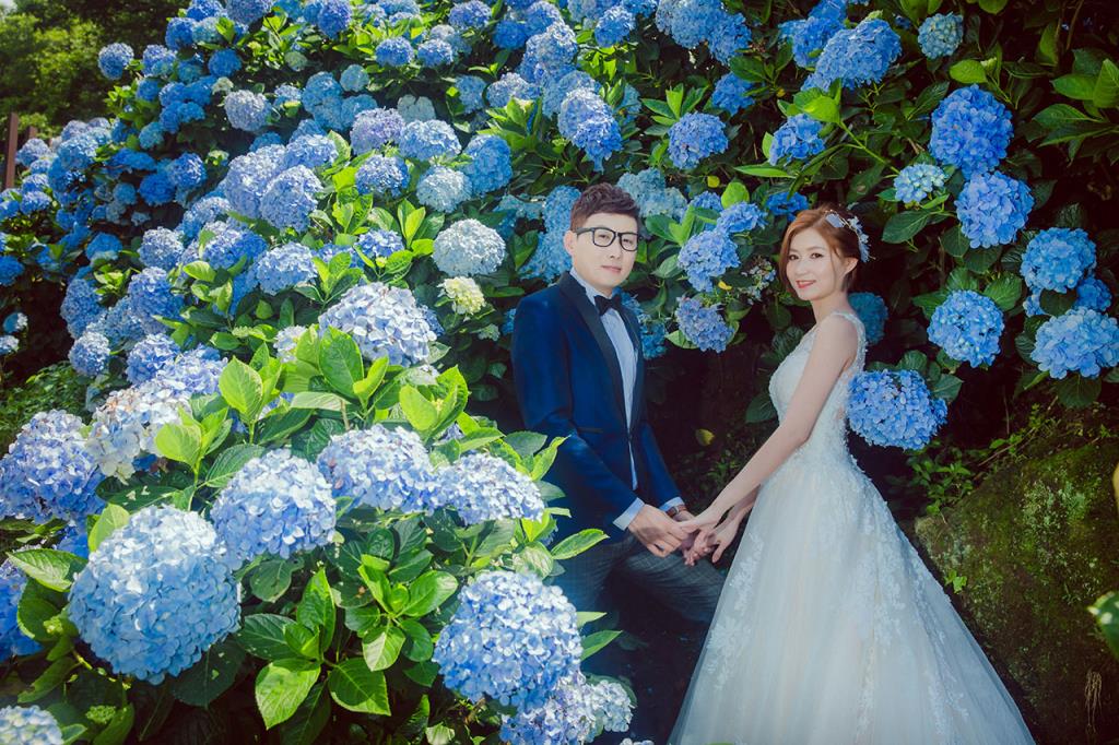 竹子湖繡球花農園吸引新人拍攝婚紗  年度：2019  來源：臺北市政府產業發展局