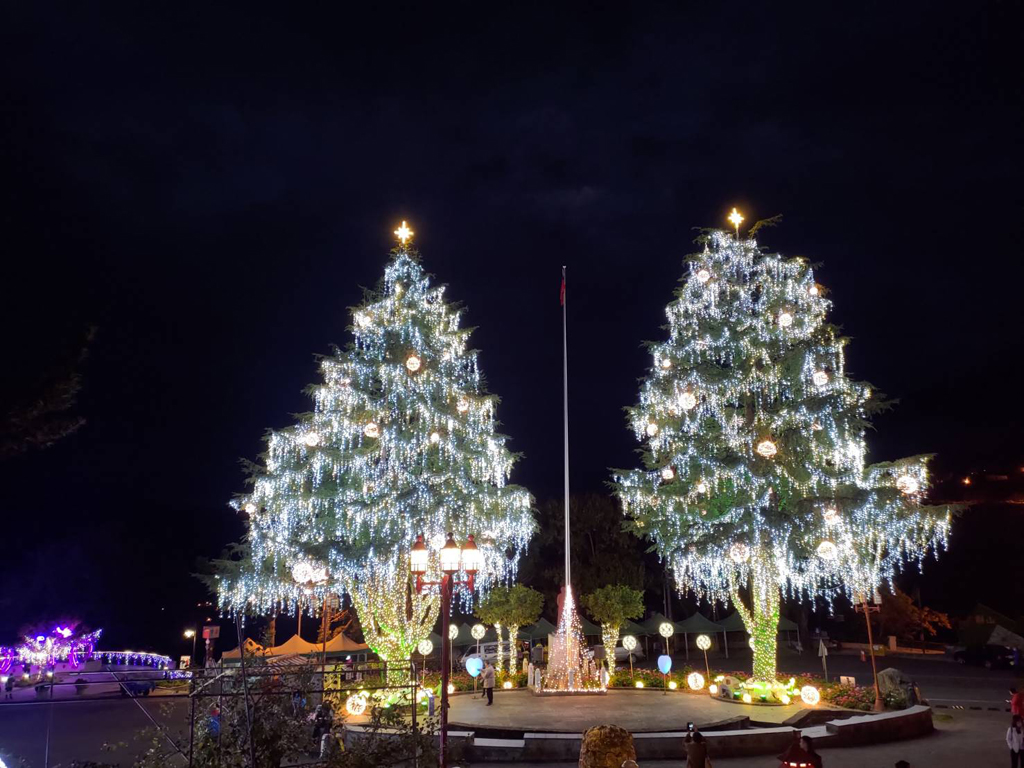 山谷燈光節梨山主燈-聖誕雪松  年度：2023  來源：參山國家風景區管理處