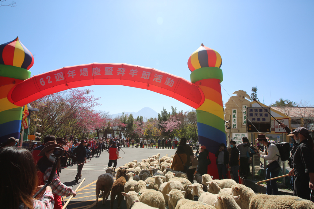奔羊節活動-羊群抵達終點  年度：2023  來源：國軍退除役官兵輔導委員會