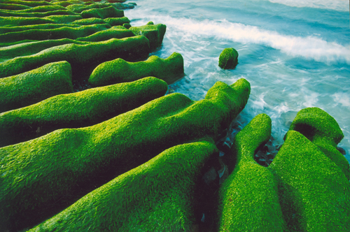 Arrecife verde de Laomei