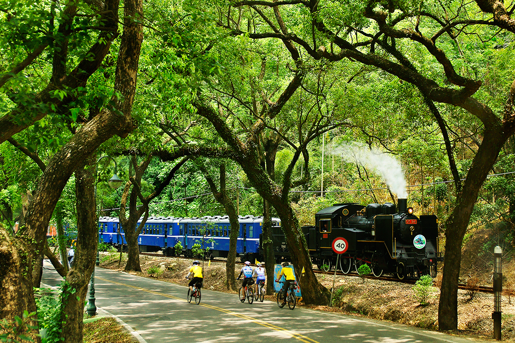 Túnel verde, Línea Jiji