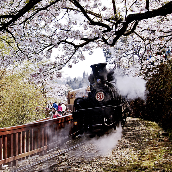 Ferrocarril forestal de Alishan