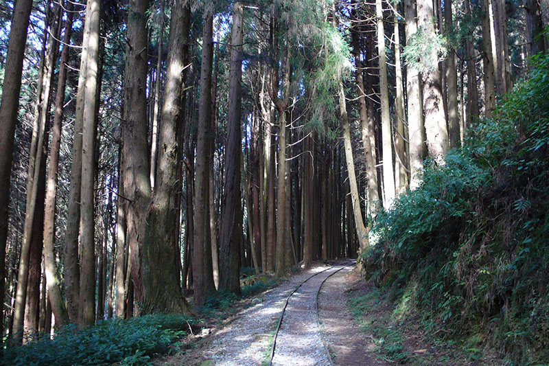 特富野古道