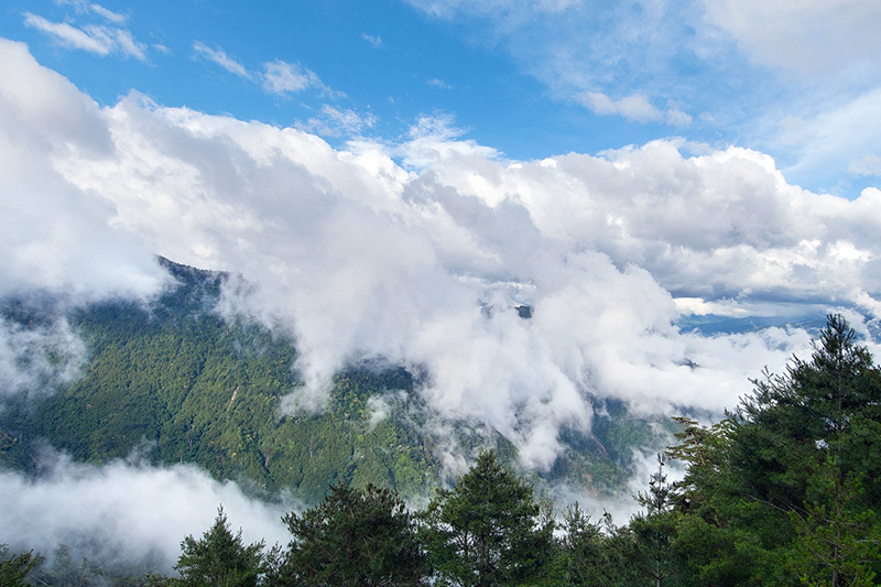 大雪山國家森林遊樂區-雲海