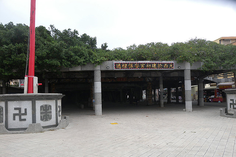 通梁古榕 通梁古榕