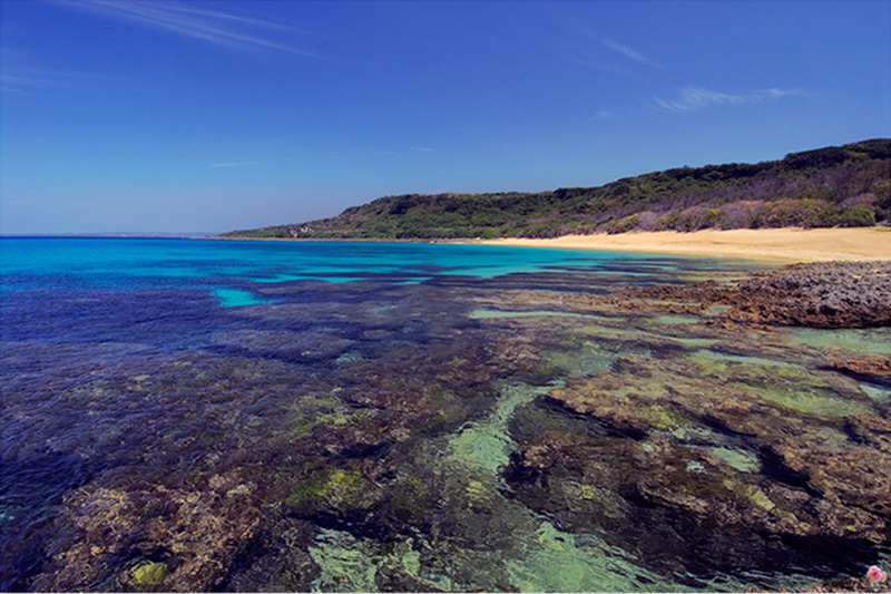 貝殼砂島