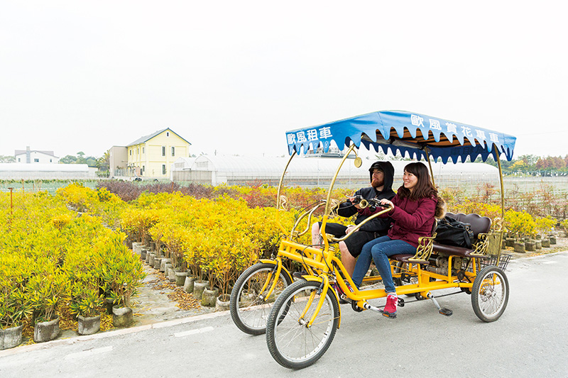 田尾公路花園