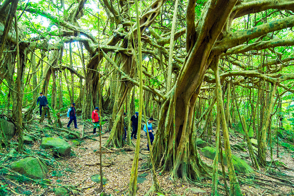 Parque Nacional Kenting