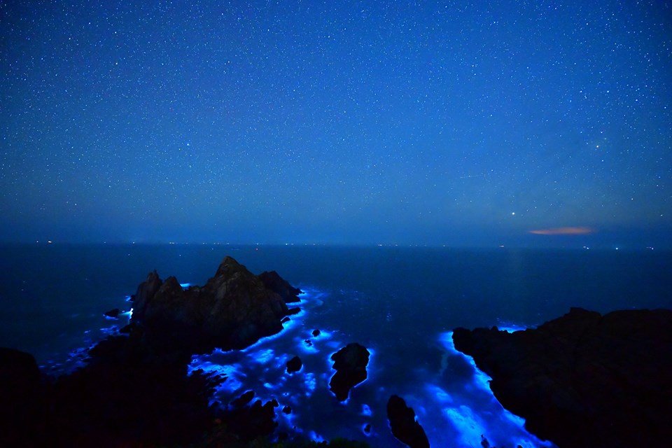 東莒船老大民宿授權分享-藍眼淚夜景夢幻無比 東莒船老大民宿授權分享-藍眼淚夜景夢幻無比
