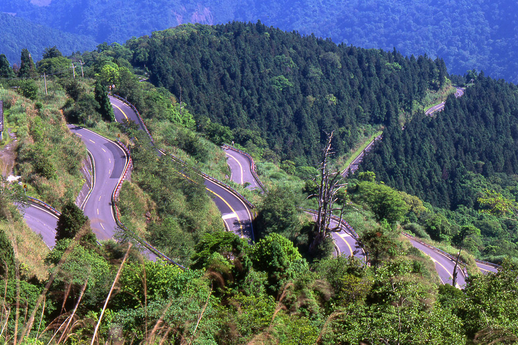 太平山林道