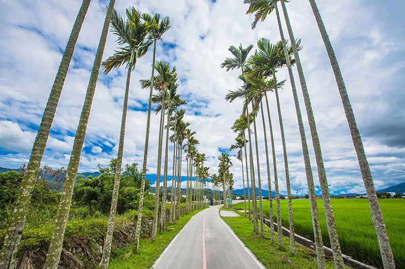 関山サイクリング道路