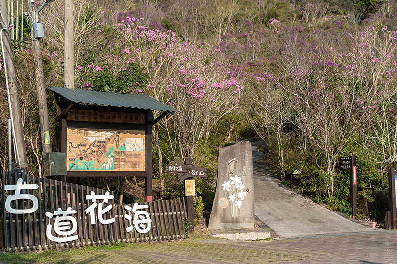 梅嶺風景区