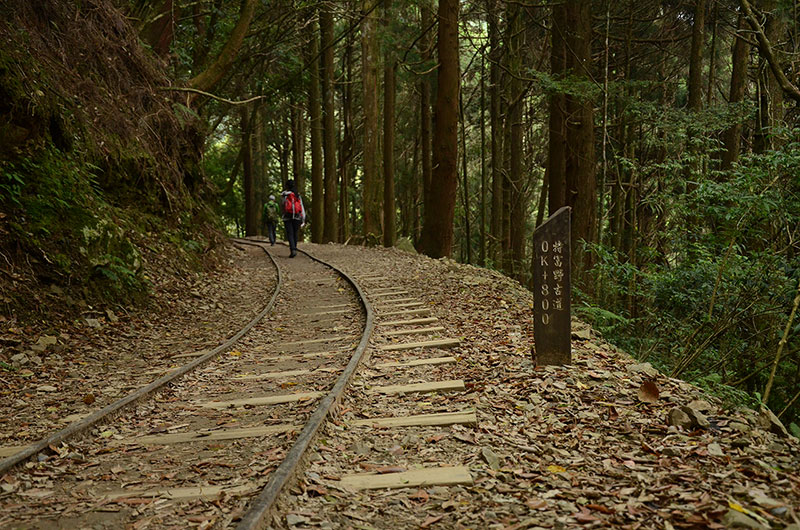 特富野古道