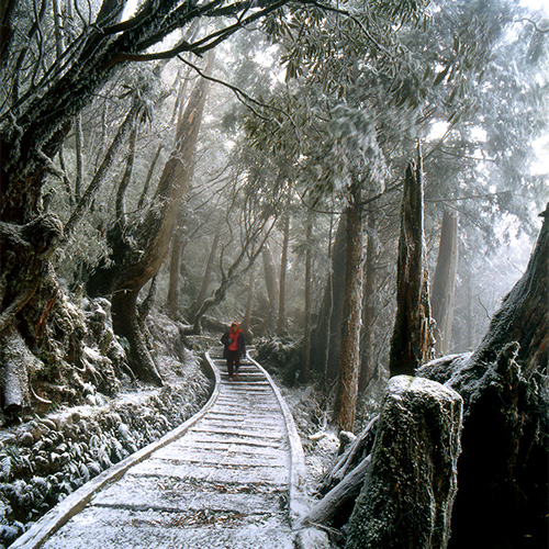 太平山