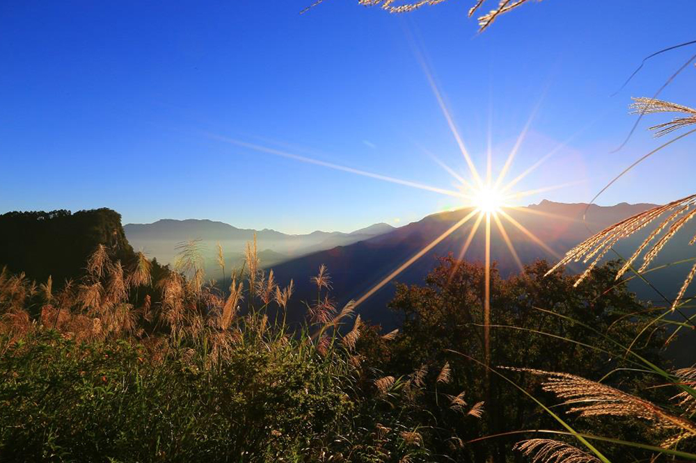 阿里山國家森林遊樂區