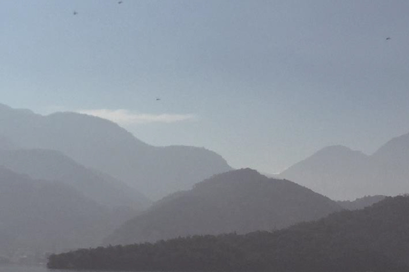 綠澀騎蹟-日月追鹿.貓囒觀日.品茶香.玩文創.探訪侏儸紀森林秘境