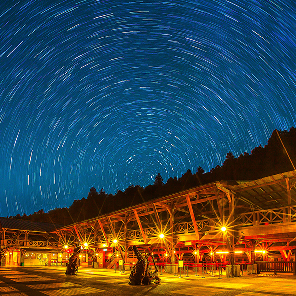 星動阿里山