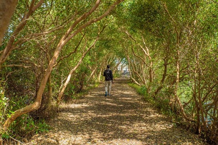 旅宿永續轉型不減服務溫度 觀光署:政策與國際接軌,旅客權益與便利兼顧