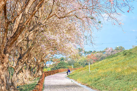 布局觀光兆元產業！ 觀光署關鍵人才培育計畫強化產業核心競爭力