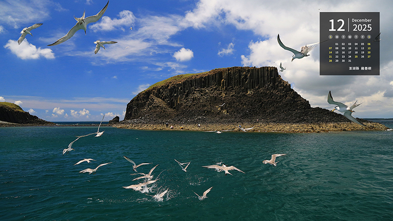 澎湖縣  雞善嶼