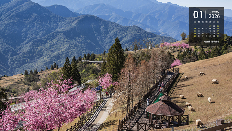  南投縣  清境農場