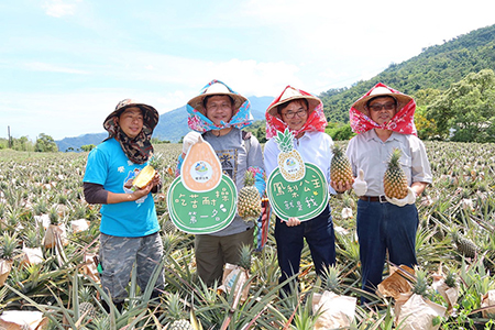 觀光局與美國Travelscope聯製《臺灣山脈與小鎮旅遊》 獲2020泰利獎金獎