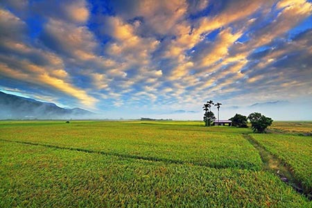 2020繼續漫遊小鎮 環島旅遊看戲趣 9/5起陸續開映