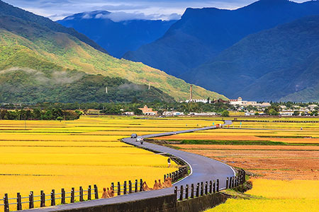 自我挑戰、深度漫遊 自行車旅遊來花東