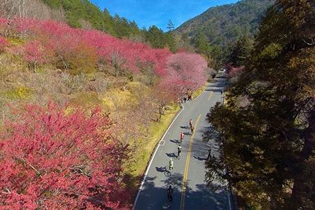 2021臺灣KOM自行車登山王挑戰-16條自行車多元路線,歡迎民眾也來體驗各種美景!