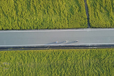 配悠遊國旅振興方案 縱管處再推「徐行縱谷-玩騎認證」單車遊 送限量花東好禮！