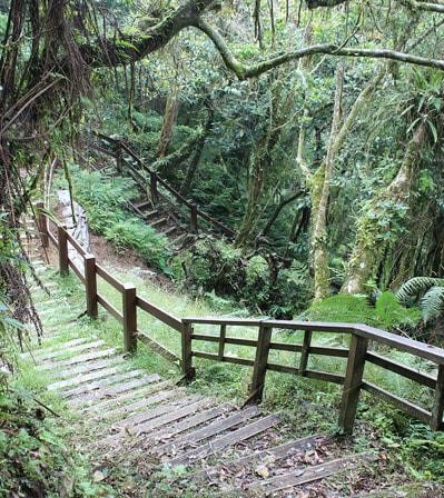 安通越嶺古道