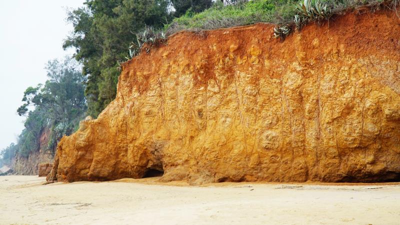 青岐港-犀牛玄武岩