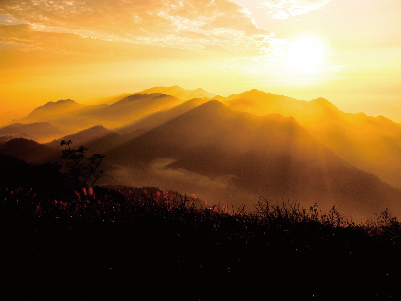 阿里山國家森林遊樂區