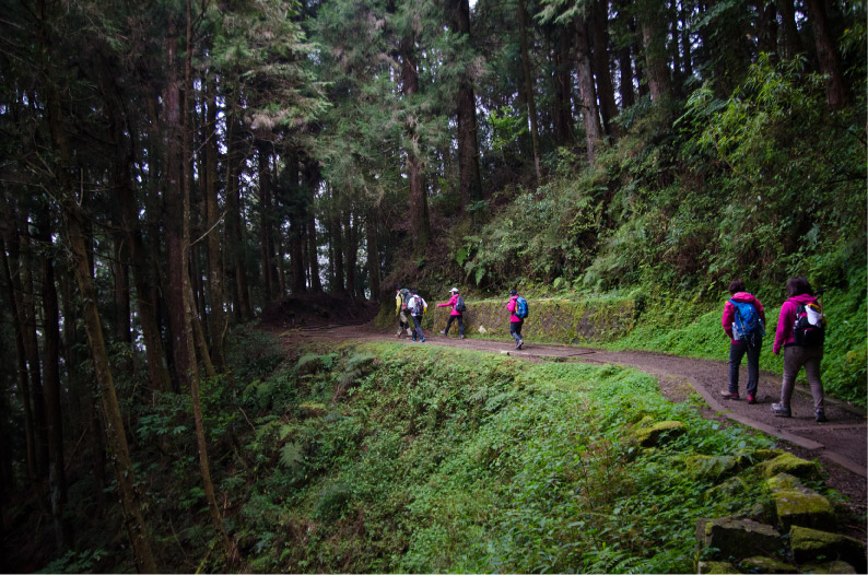 特富野古道